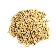 Organic Barley Grain, Jau Grain